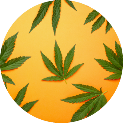 Cannabis inventory management