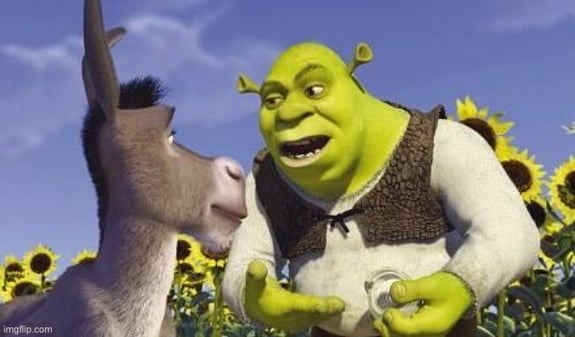 Shrek is like an onion meme